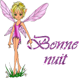 Bonne nuit les ami(e)s